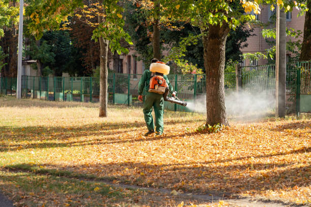 Best Commercial Pest Control Services  in Kutztown University, PA