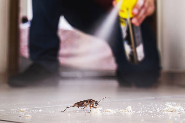 Best Local Pest Control Services  in Kutztown University, PA