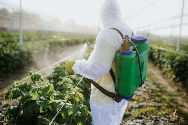 Best Insect Control  in Kutztown University, PA